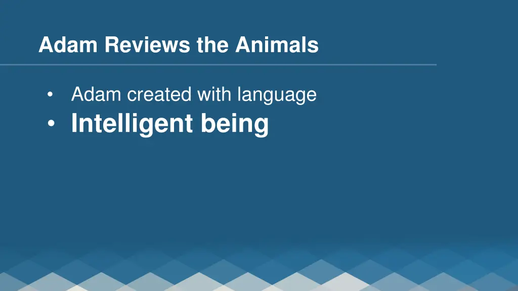 adam reviews the animals 1