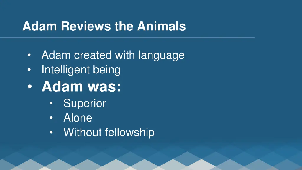 adam reviews the animals 2