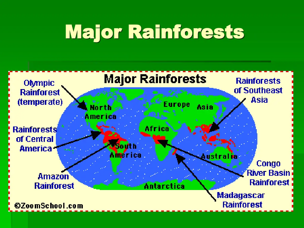 major rainforests major rainforests