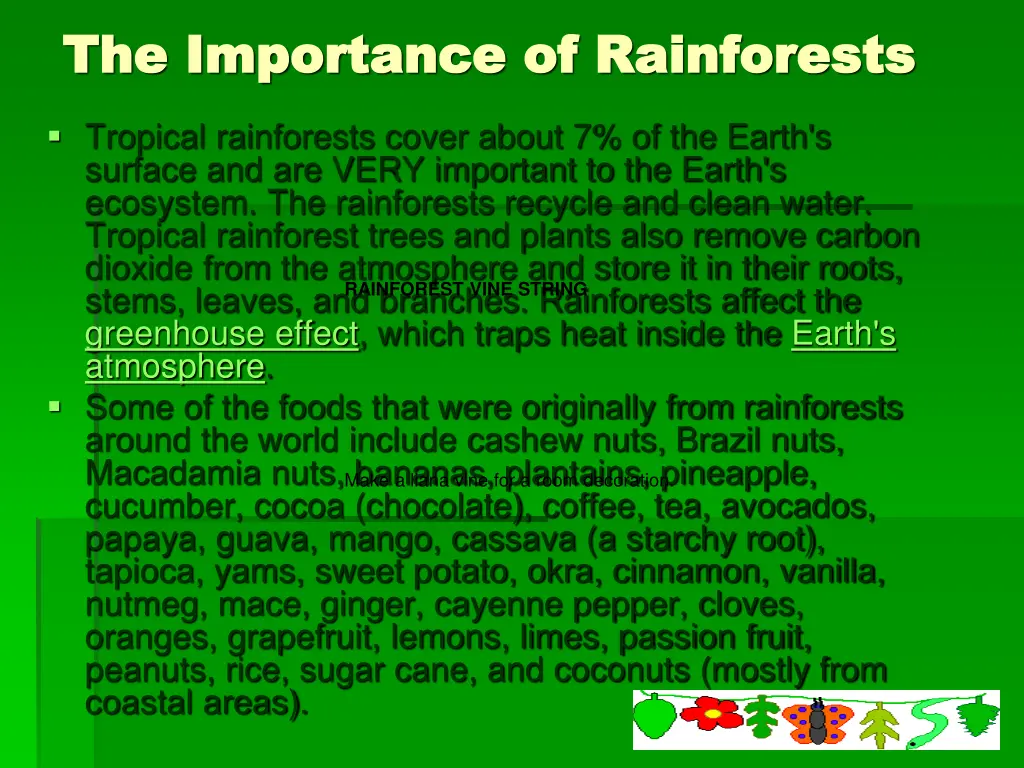 the importance of rainforests the importance