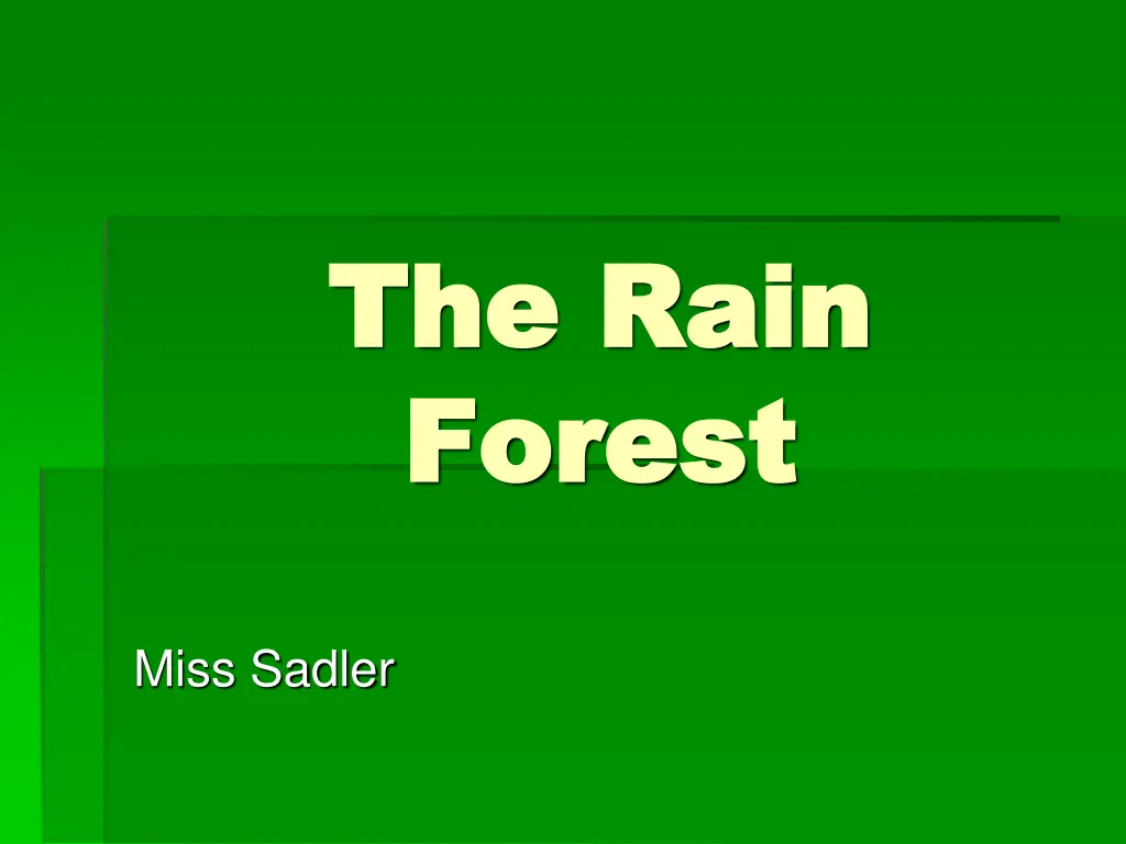 the rain the rain forest forest