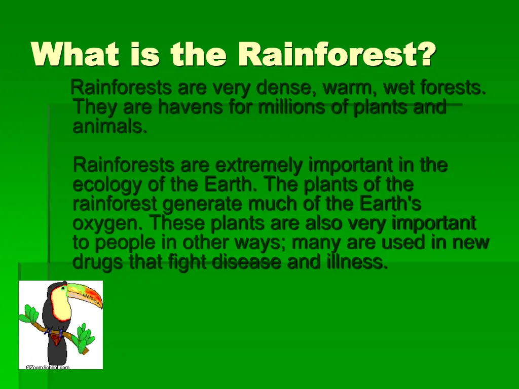 what is the rainforest what is the rainforest