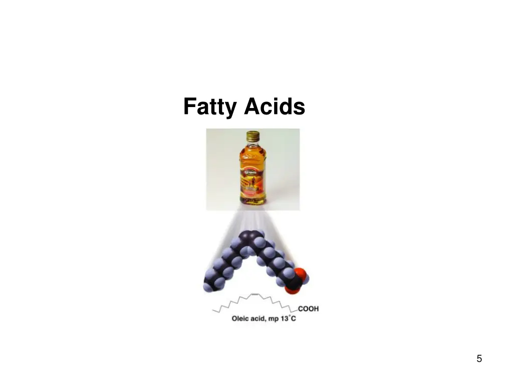 fatty acids