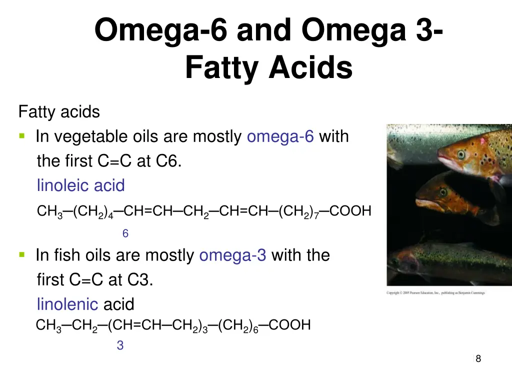 omega 6 and omega 3 fatty acids