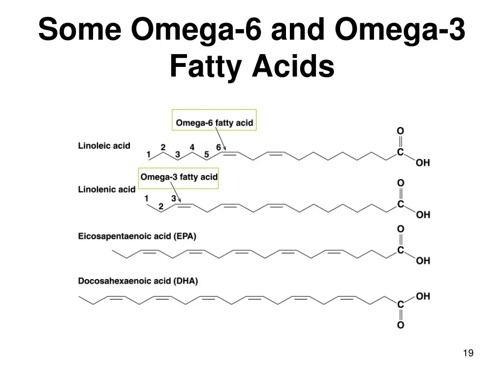 some omega 6 and omega 3 fatty acids