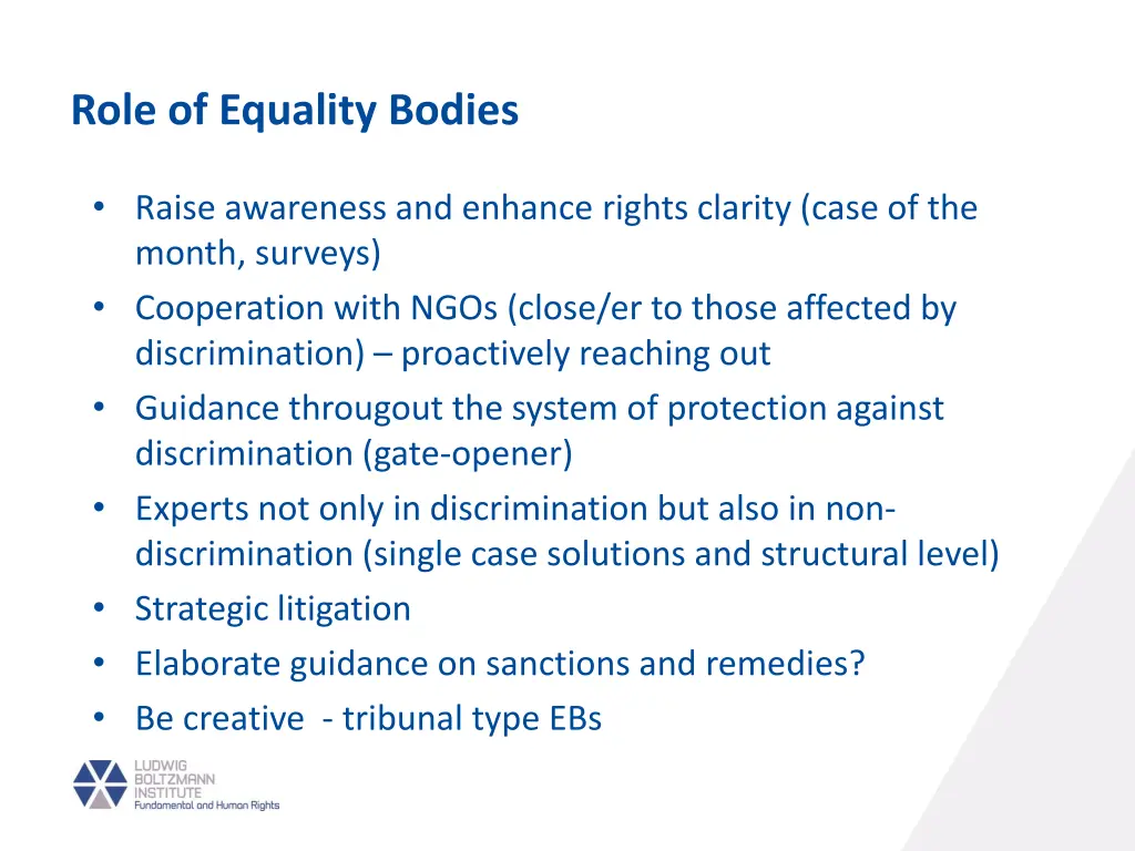 role of equality bodies