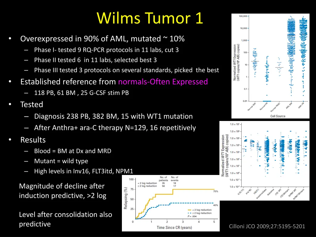 wilms tumor 1
