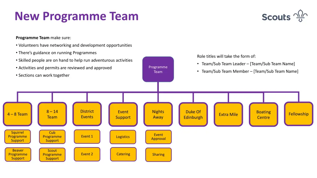 new programme team