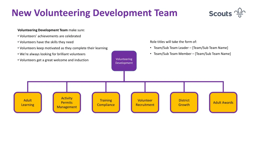 new volunteering development team