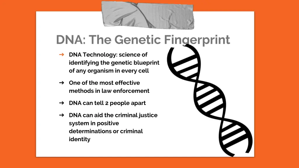 dna the genetic fingerprint