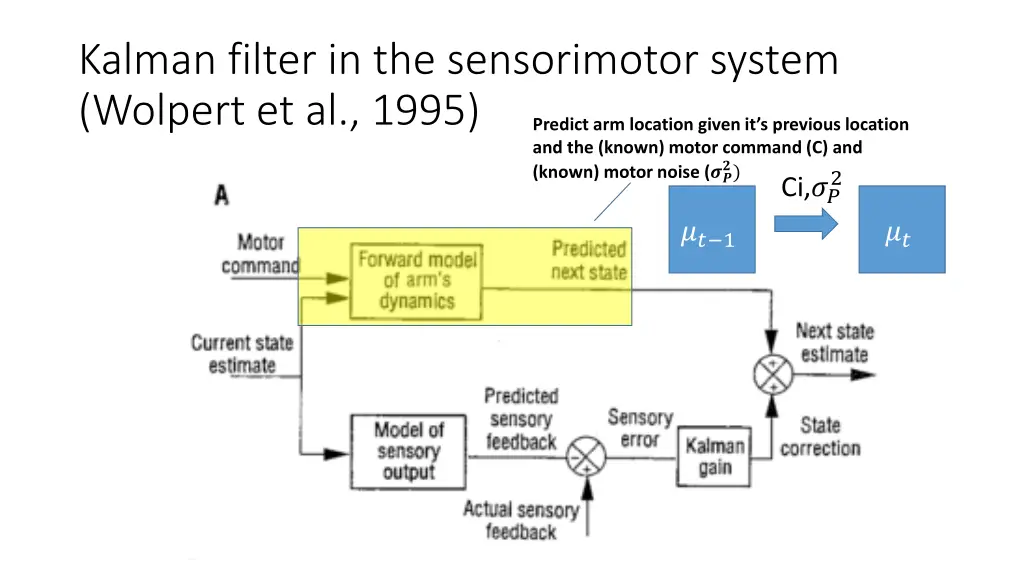 kalman filter in the sensorimotor system wolpert 1