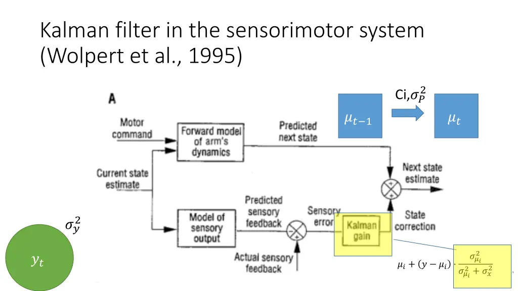 kalman filter in the sensorimotor system wolpert 3