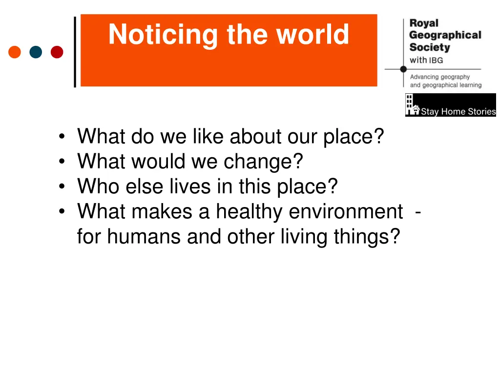 noticing the world