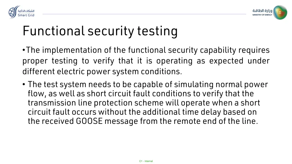 functional security testing