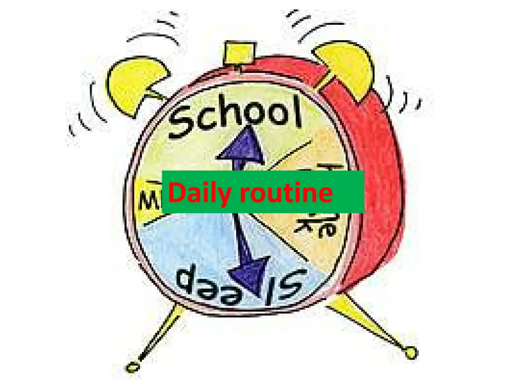 daily routine