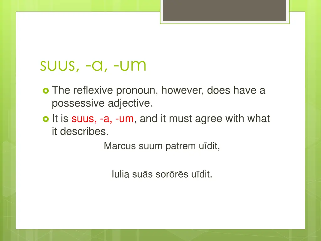 suus a um 4