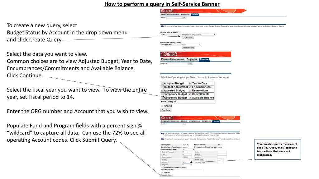 how to perform a query in self service banner
