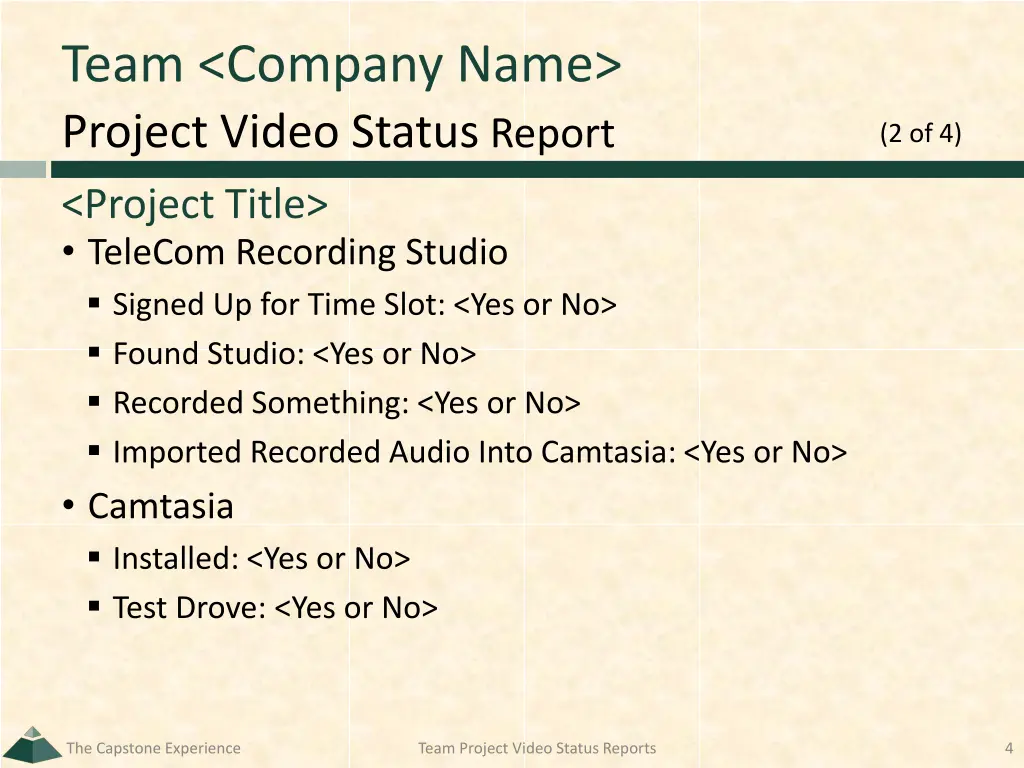 team company name 1