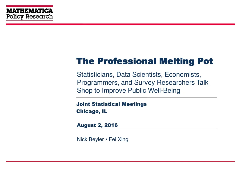 the professional melting pot the professional