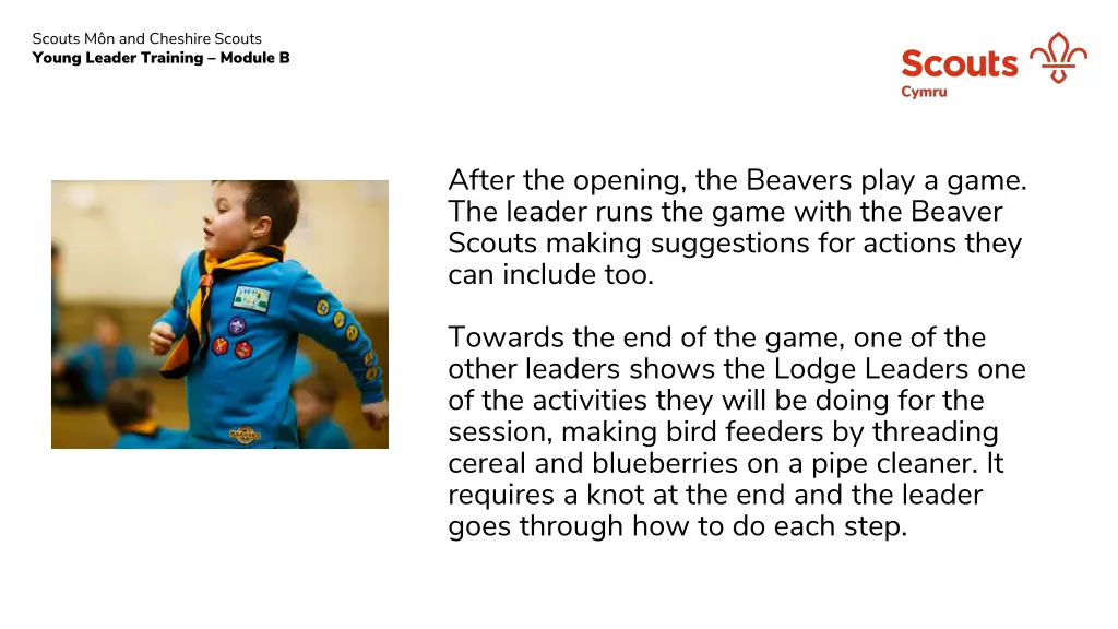 scouts m n and cheshire scouts young leader 10