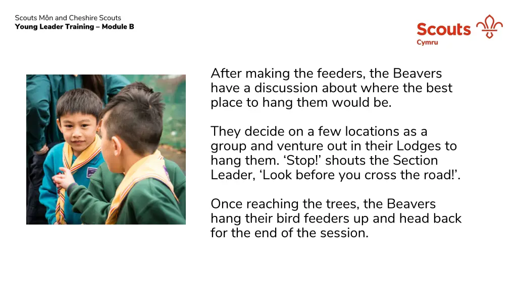 scouts m n and cheshire scouts young leader 12