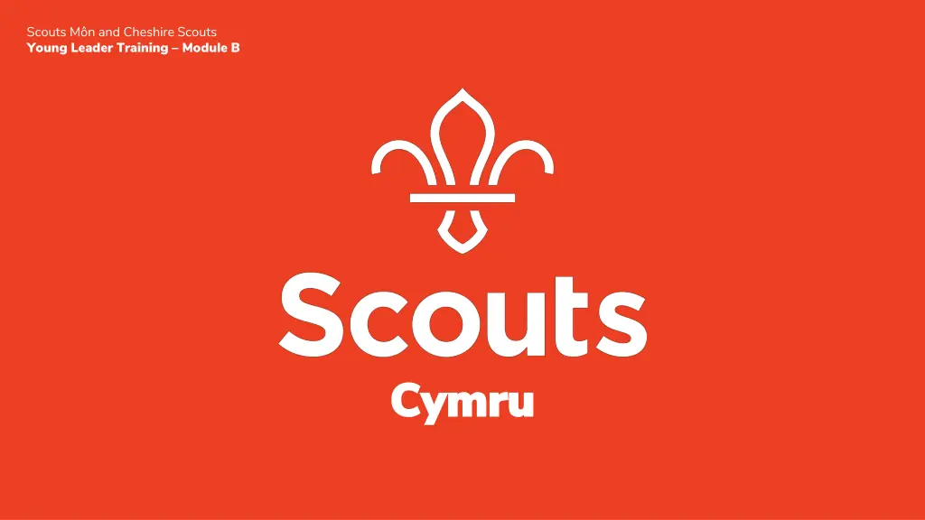 scouts m n and cheshire scouts young leader 13