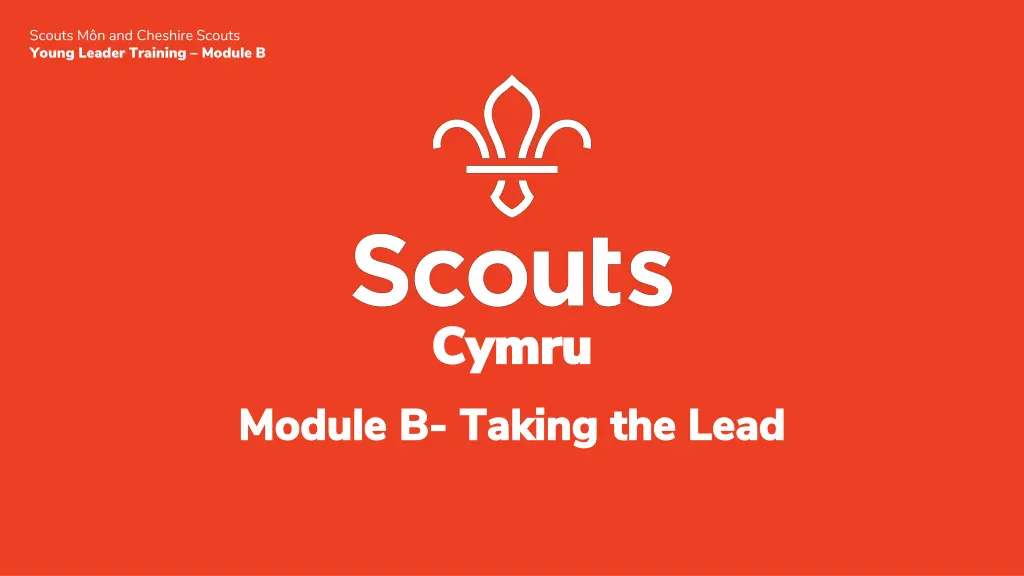scouts m n and cheshire scouts young leader