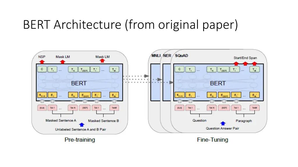 bert architecture from original paper