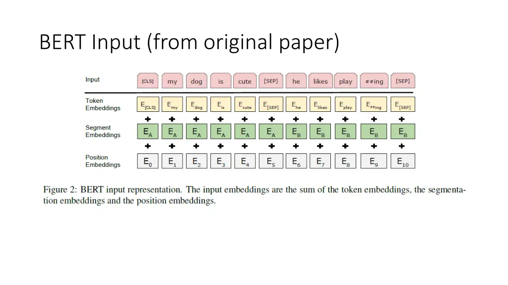 bert input from original paper