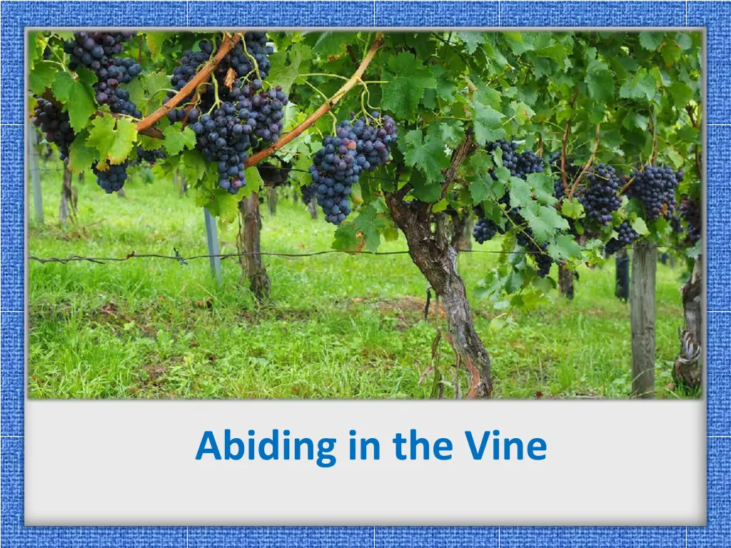 abiding in the vine