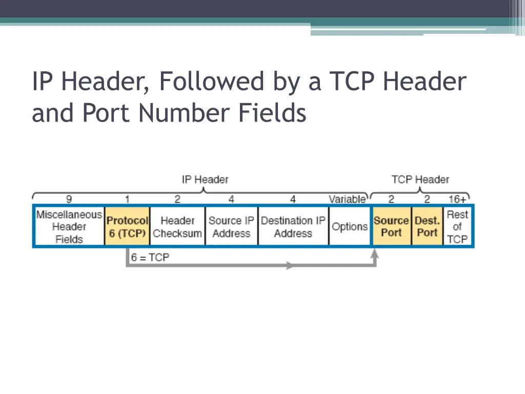 ip header followed by a tcp header and port