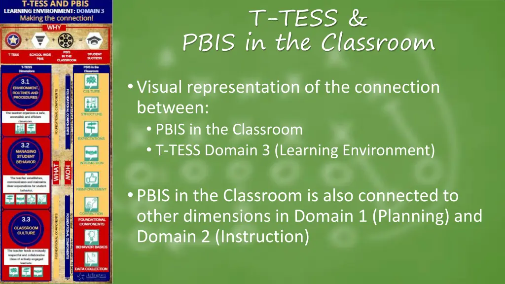 t tess