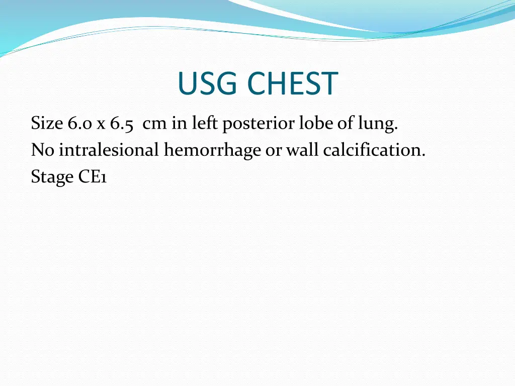 usg chest