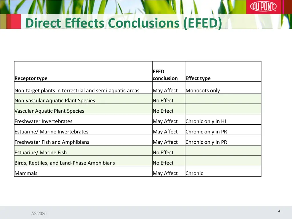 direct effects conclusions efed