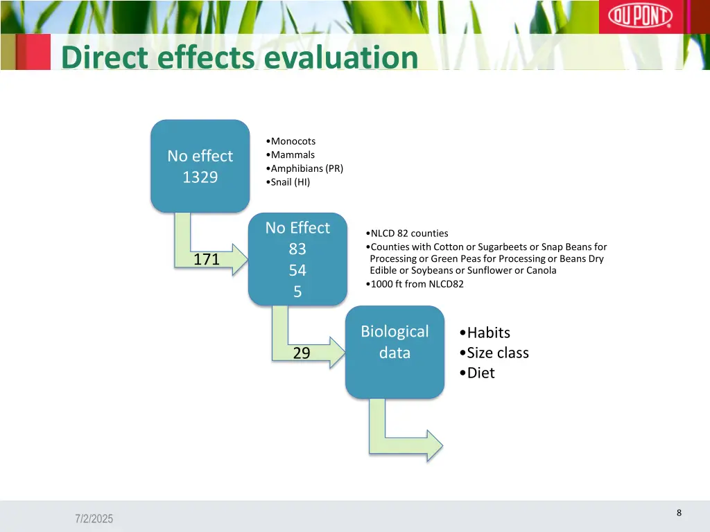 direct effects evaluation 1