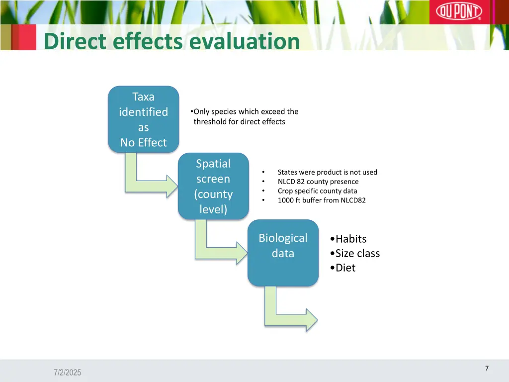 direct effects evaluation