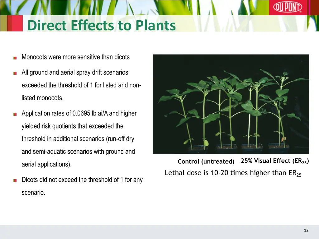 direct effects to plants