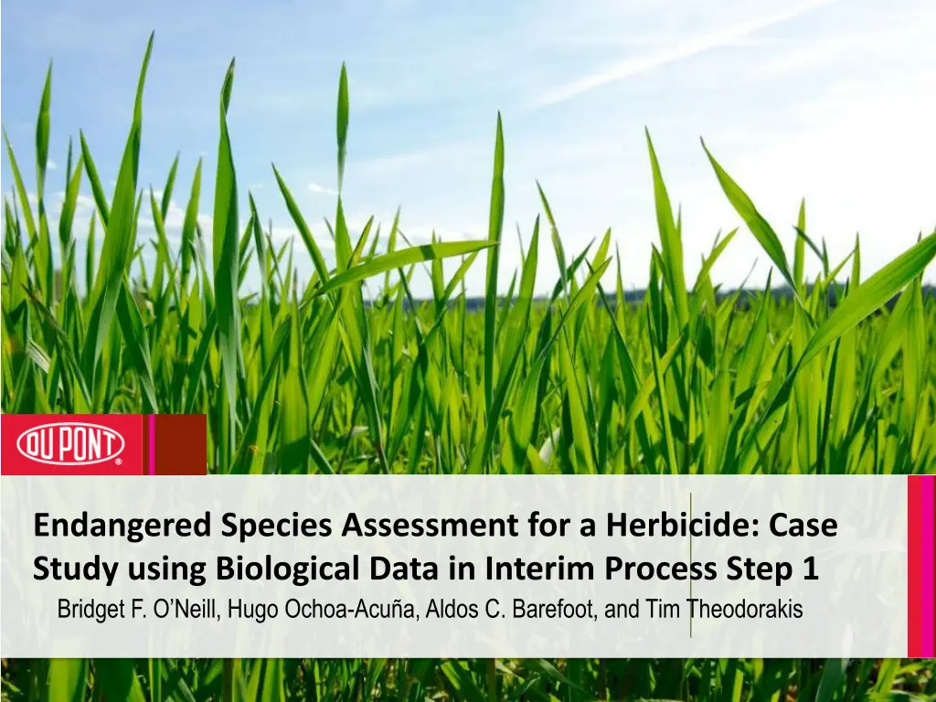 endangered species assessment for a herbicide