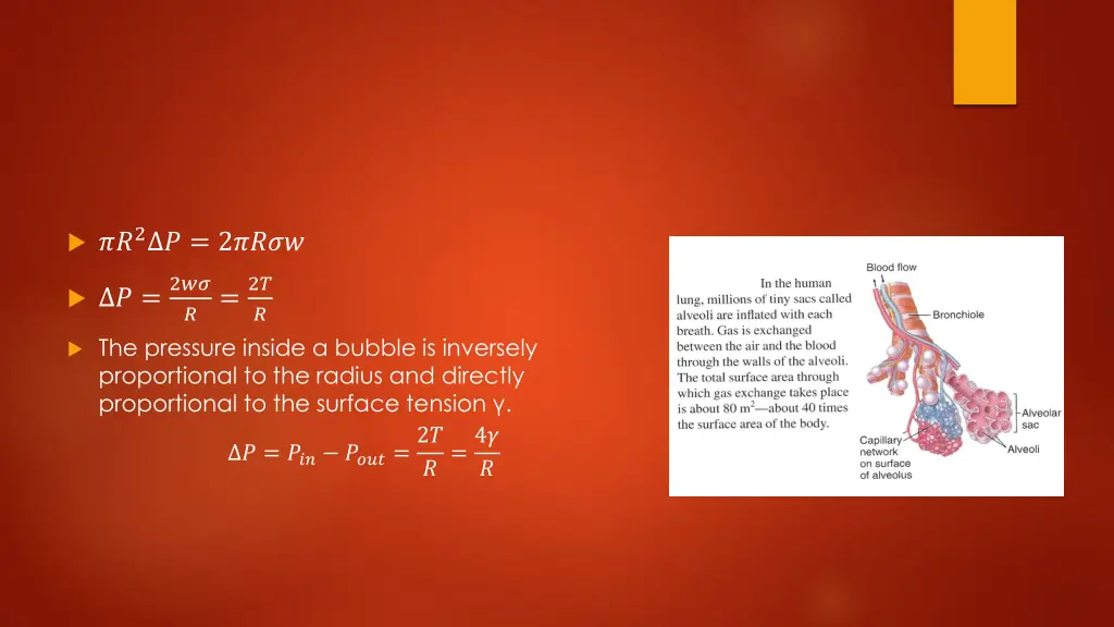 slide7