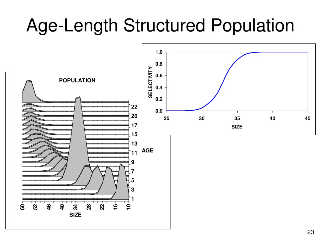 age length structured population