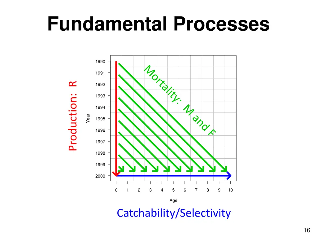 fundamental processes