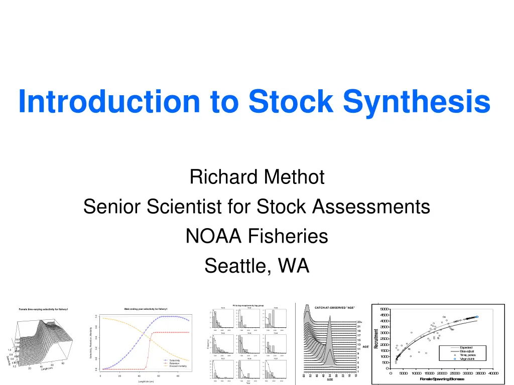 introduction to stock synthesis