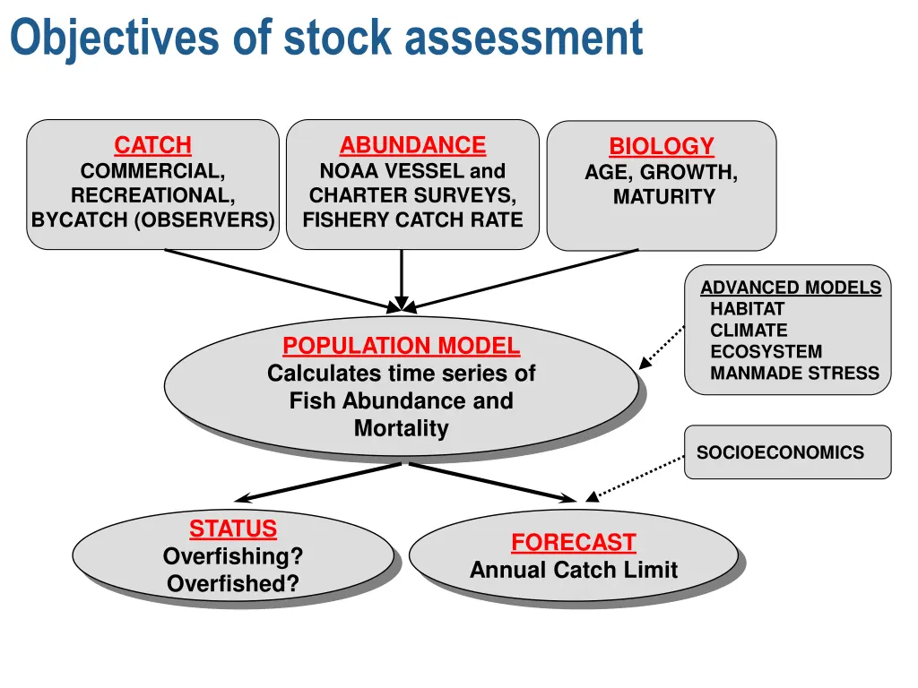 objectives of stock assessment