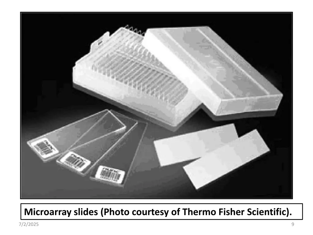microarray slides photo courtesy of thermo fisher