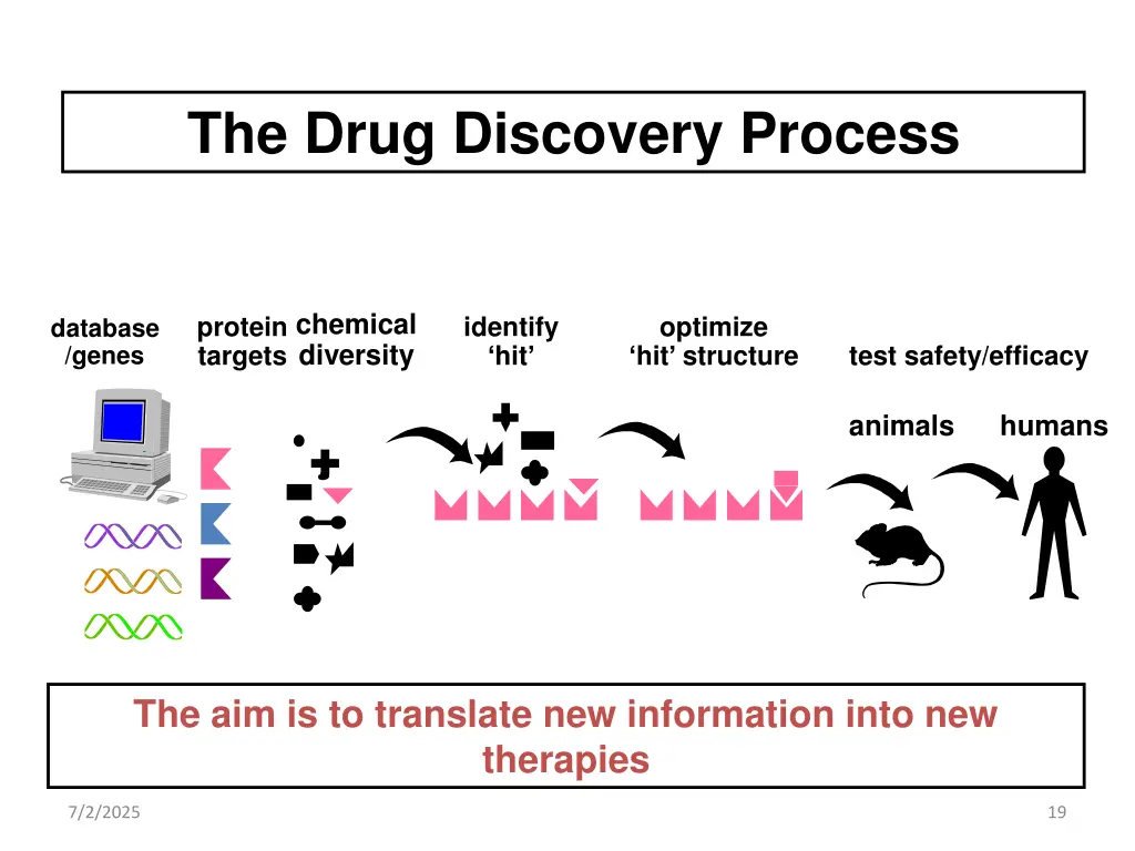 the drug discovery process