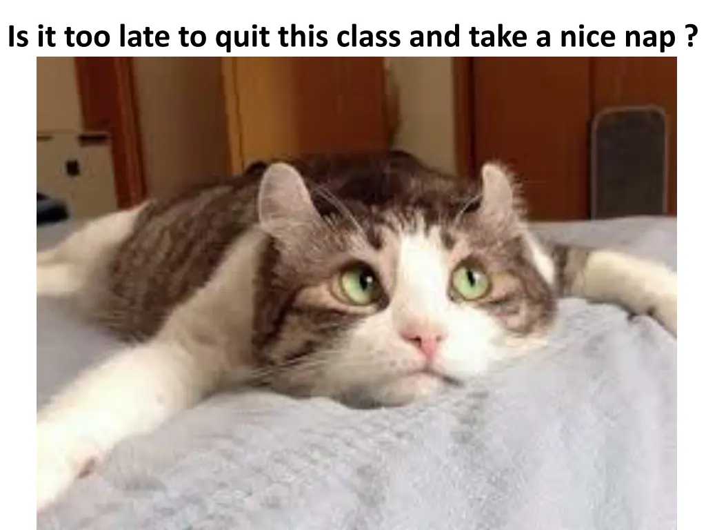 is it too late to quit this class and take a nice