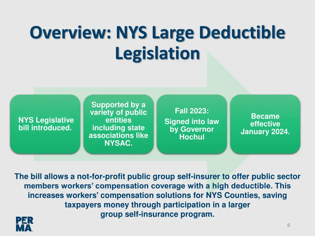 overview nys large deductible legislation