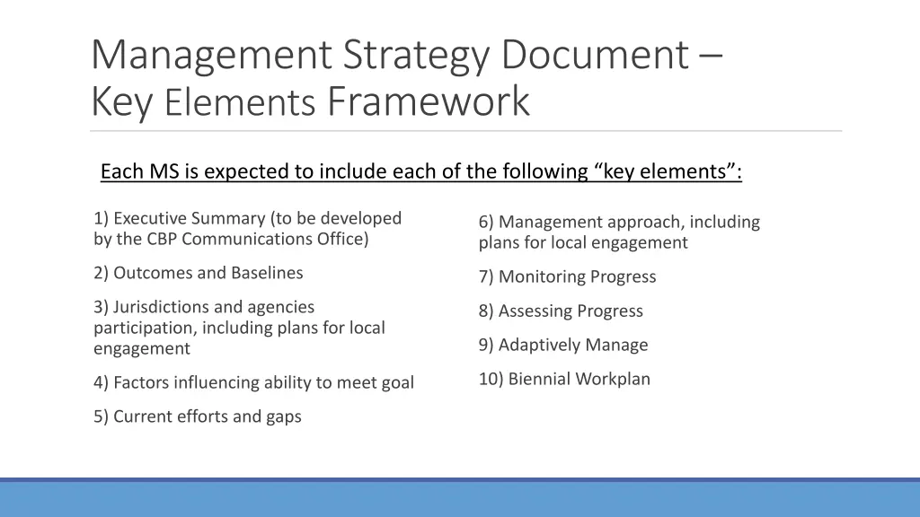 management strategy document key elements