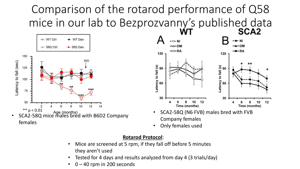 comparison of the rotarod performance of q58 mice