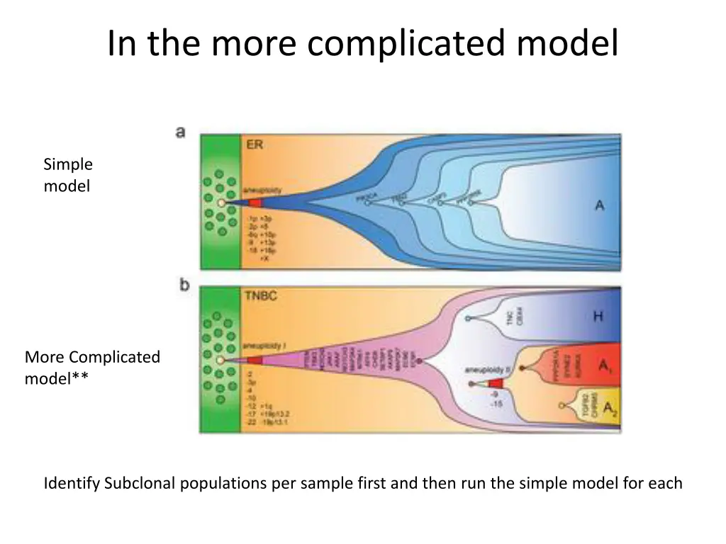 in the more complicated model